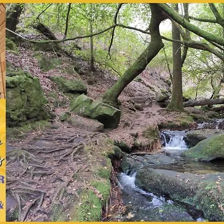 Casal De Folgueiras Rias Baixas 乡村民宿 *